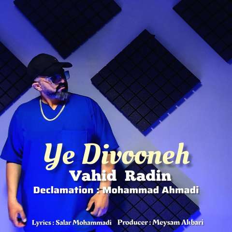 دانلود آهنگ وحید رادین یه دیوونه