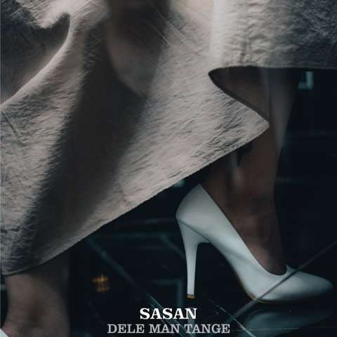 دانلود آهنگ ساسان دل من تنگه